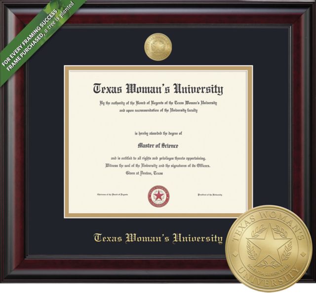 Framing Success Classic 11 x 14 Diploma with Double mat and Medallion